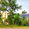 Homeo Point, Kushtia logo