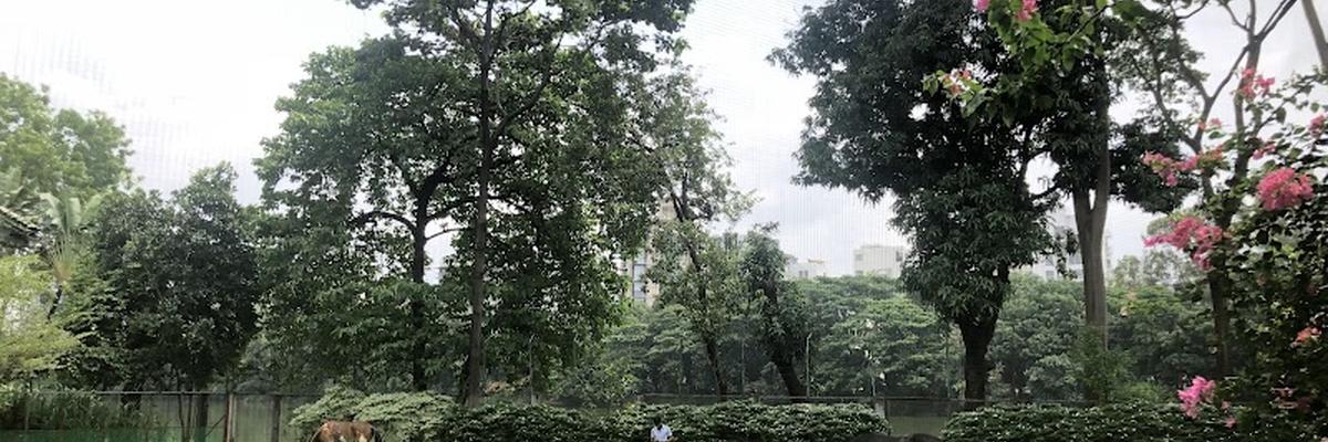 Lake View Clinic, Gulshan