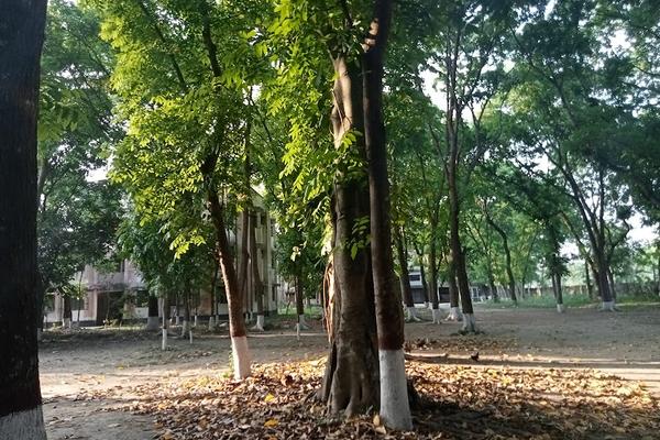 Nawabganj Upazila Health Complex