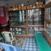 Shefa Homeo Pharmacy and Doctor's Chamber logo
