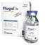 Flugal