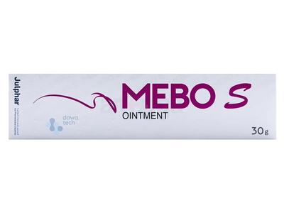 Mebo S 30 gm Ointment
