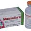 Maxsulin N Vial