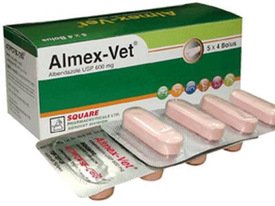 Almex-Vet 600mg Tablet