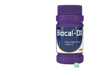 Biocal DX 600mg+400IU Tablet