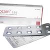 Bisocam 2.5 mg+5 mg Tablet