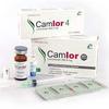 Camlor 4 mg Tablet