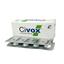 Civox