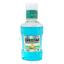 Orostar Cool Mint