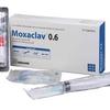 Moxaclav 0.6 IV (500mg+100mg)/10ml Injection