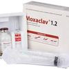 Moxaclav 1.2 IV (1gm+200mg)/20ml Injection