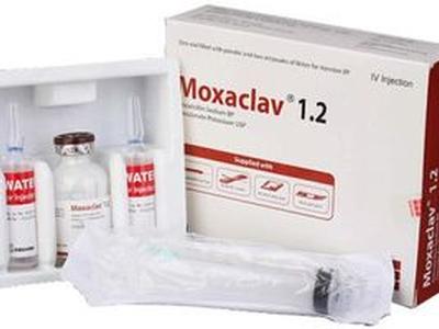 Moxaclav 1.2 IV (1gm+200mg)/20ml Injection