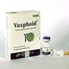 Vaxphoid 25 mcg/0.5 ml IM Injection