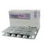 Vildapin Plus 500